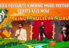 Sula Wine Fest 2026 | Dates, Artists, Tickets & Festival Guide in Nashik